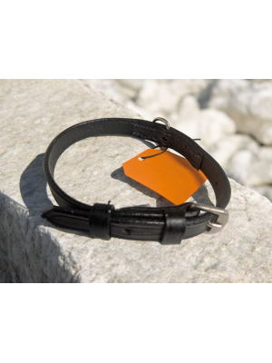 Repurposed Leather Dog Collar